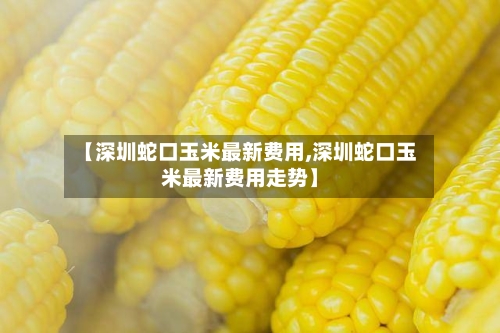 【深圳蛇口玉米最新费用,深圳蛇口玉米最新费用走势】-第3张图片