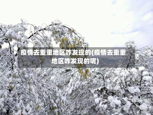 疫情去重重地区咋发现的(疫情去重重地区咋发现的呢)