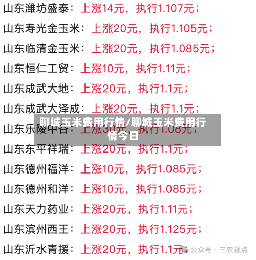 聊城玉米费用行情/聊城玉米费用行情今日
