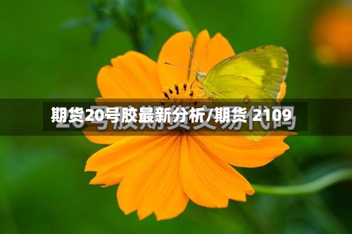 期货20号胶最新分析/期货 2109