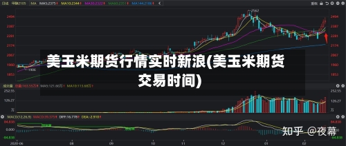 美玉米期货行情实时新浪(美玉米期货交易时间)-第3张图片