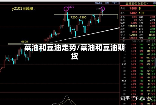 菜油和豆油走势/菜油和豆油期货-第3张图片