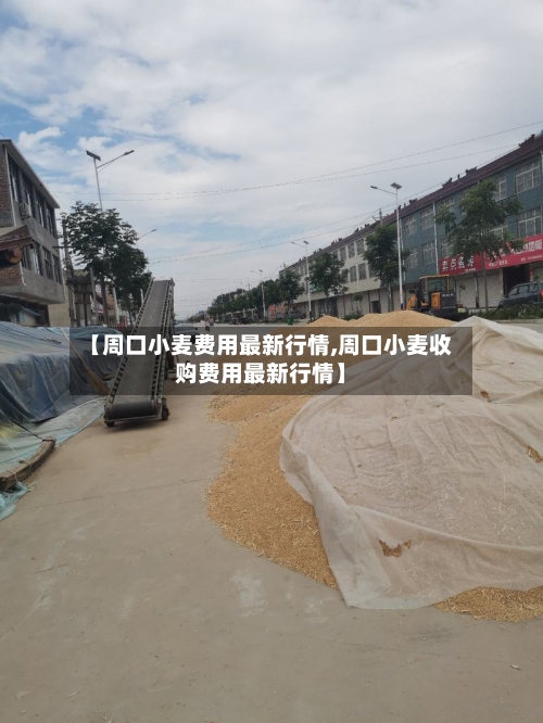 【周口小麦费用最新行情,周口小麦收购费用最新行情】