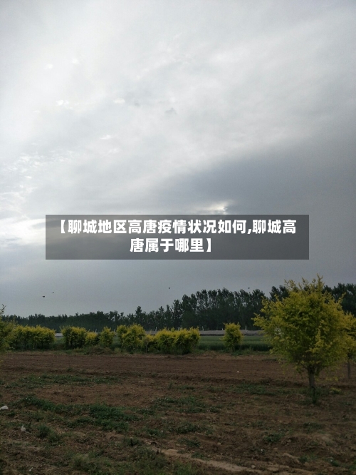 【聊城地区高唐疫情状况如何,聊城高唐属于哪里】