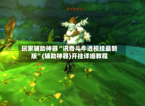 玩家辅助神器“讯奇斗牛透视挂最新版”(辅助神器)开挂详细教程