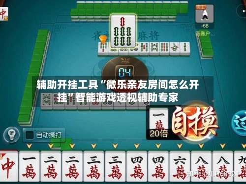 辅助开挂工具“微乐亲友房间怎么开挂”智能游戏透视辅助专家