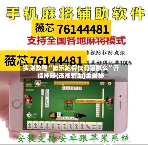 实测教程“微乐跑得快有猫腻么”开挂神器{透视辅助}全揭秘-第2张图片