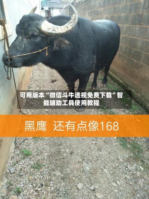 可用版本“微信斗牛透视免费下载”智能辅助工具使用教程