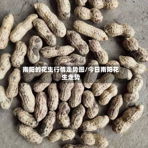 南阳的花生行情走势图/今日南阳花生走势