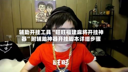 辅助开挂工具“旺旺福建麻将开挂神器”附辅助神器开挂脚本详细步骤-第3张图片