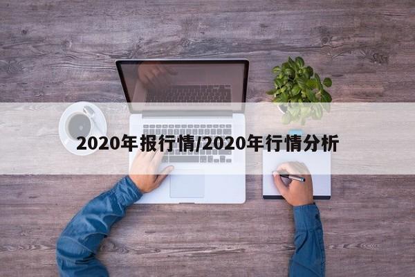 2020年报行情/2020年行情分析