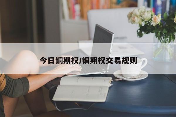 今日铜期权/铜期权交易规则