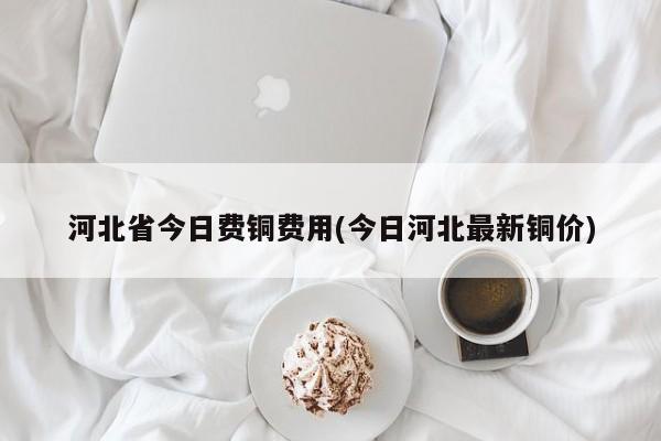 河北省今日费铜费用(今日河北最新铜价)