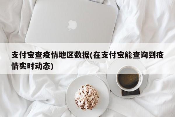 支付宝查疫情地区数据(在支付宝能查询到疫情实时动态)